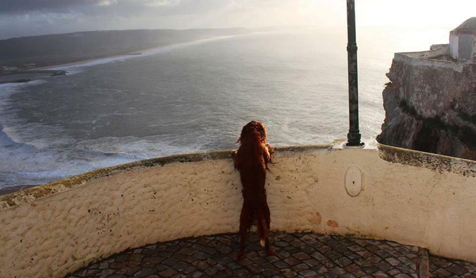 Vila Nazare - The Little Star Exteriér fotografie